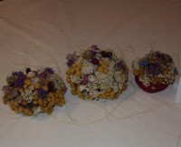 /album/fotogaleria/dsc00393-jpg/