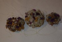 /album/fotogaleria/dsc00395-jpg/