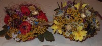 /album/fotogaleria/dsc00400-jpg/