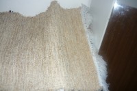 /album/fotogaleria-4/kob5-jpg/